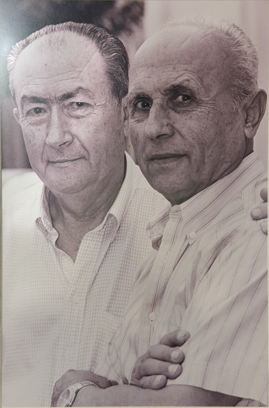 Archivo de la familia Sbiroli